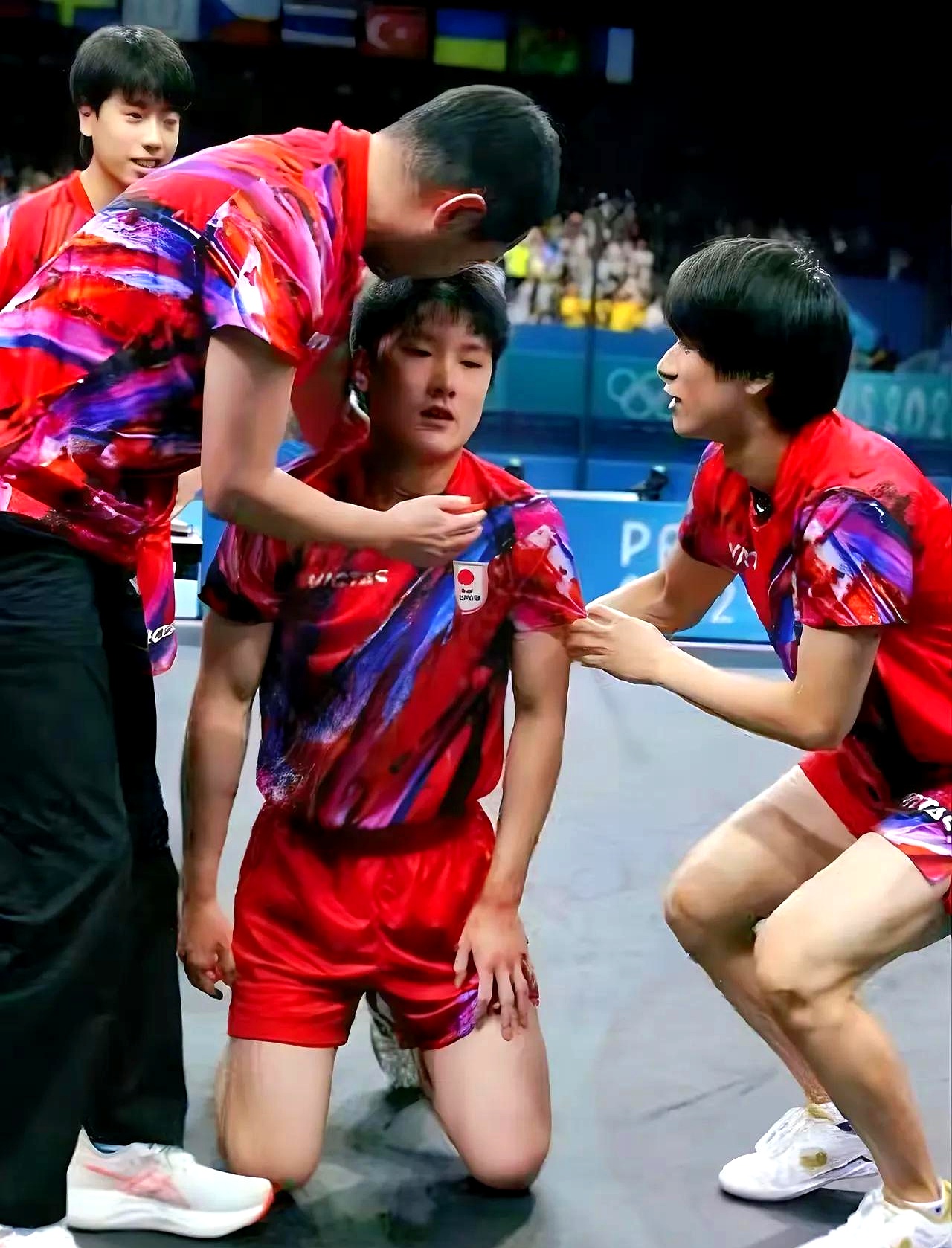 法国队鏖战奥地利队，张本智和统治全场