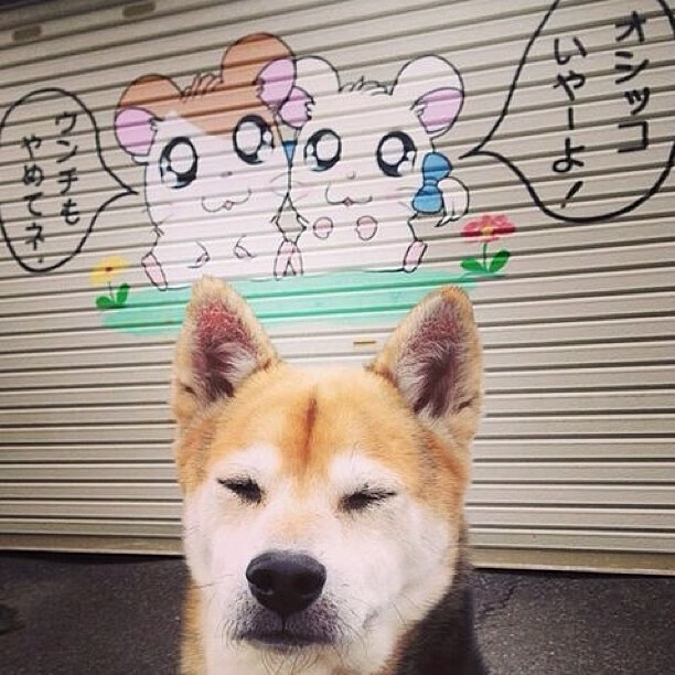 当北欧战车遇见非洲雄狮，莫德里奇如何成为一场不存在的交锋的关键先生