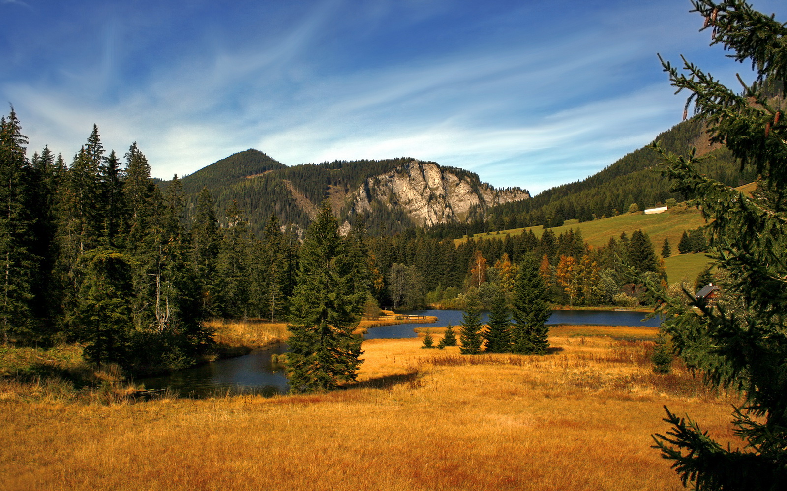 两重门，卫冕者血战黄蜂，新纪元于数据深渊觉醒