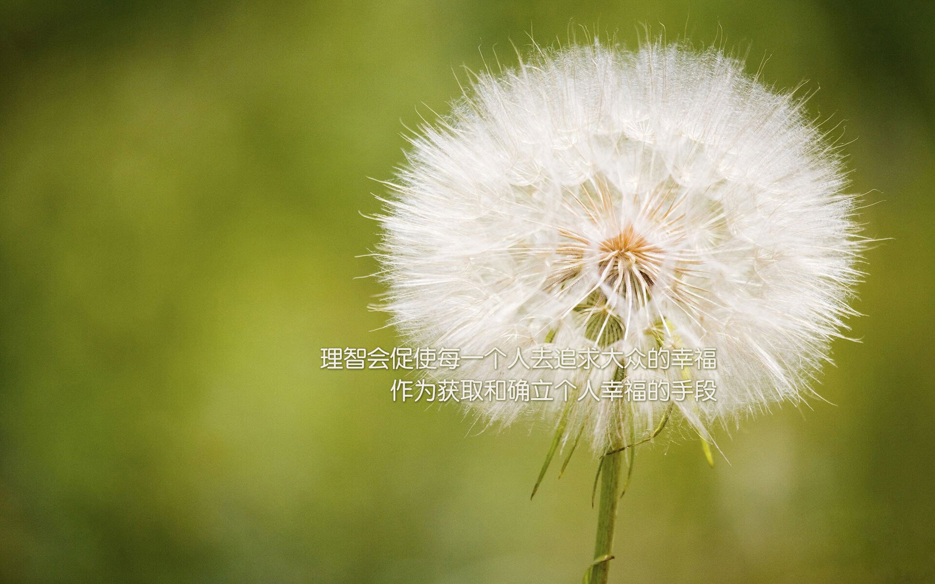 意甲焦点战在篮球场重演,尼克斯终场绝杀开拓者