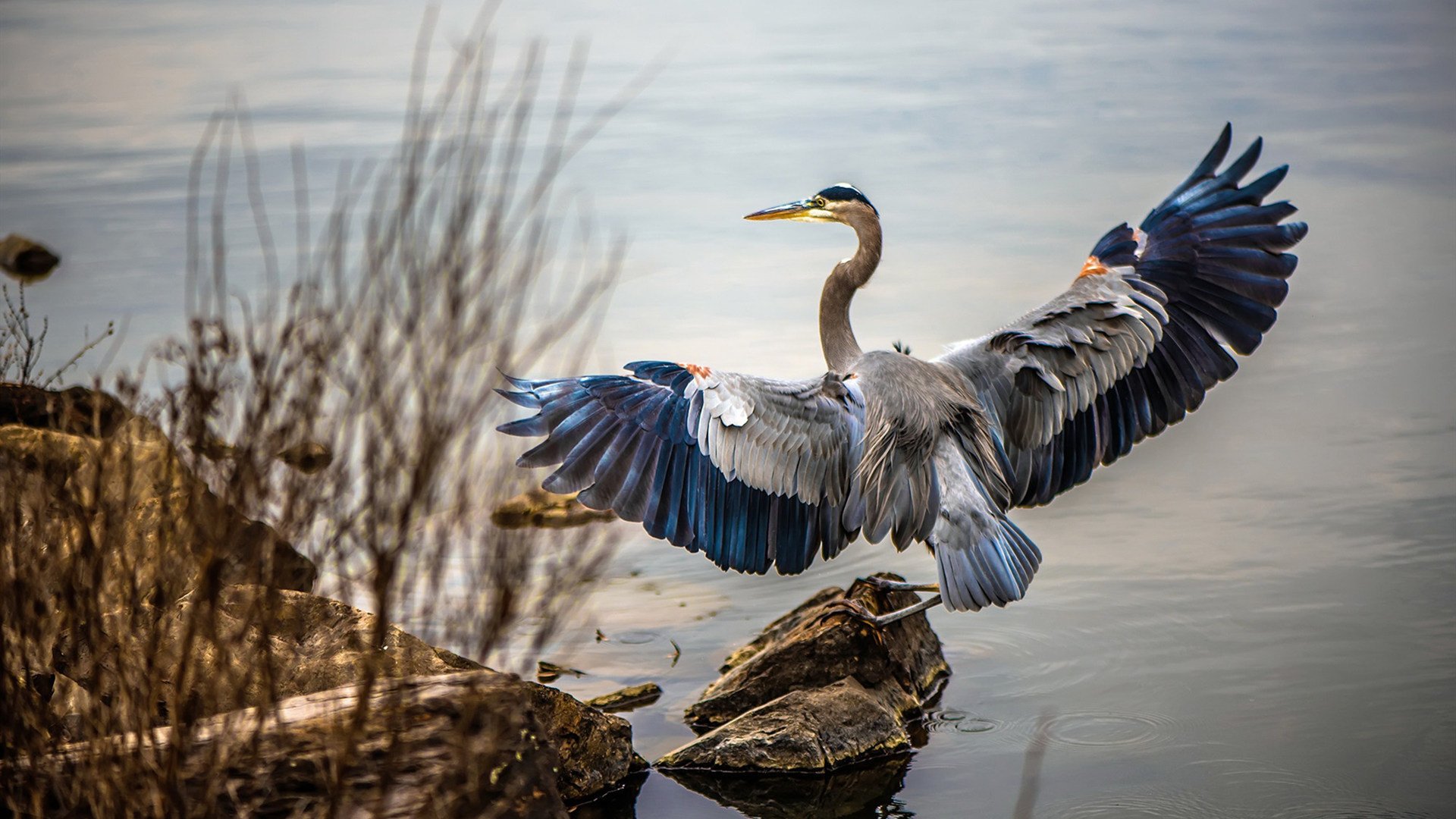 当移动长城挡住汽车城，北京队加时掀翻活塞，詹姆斯却在千里外夺走头条
