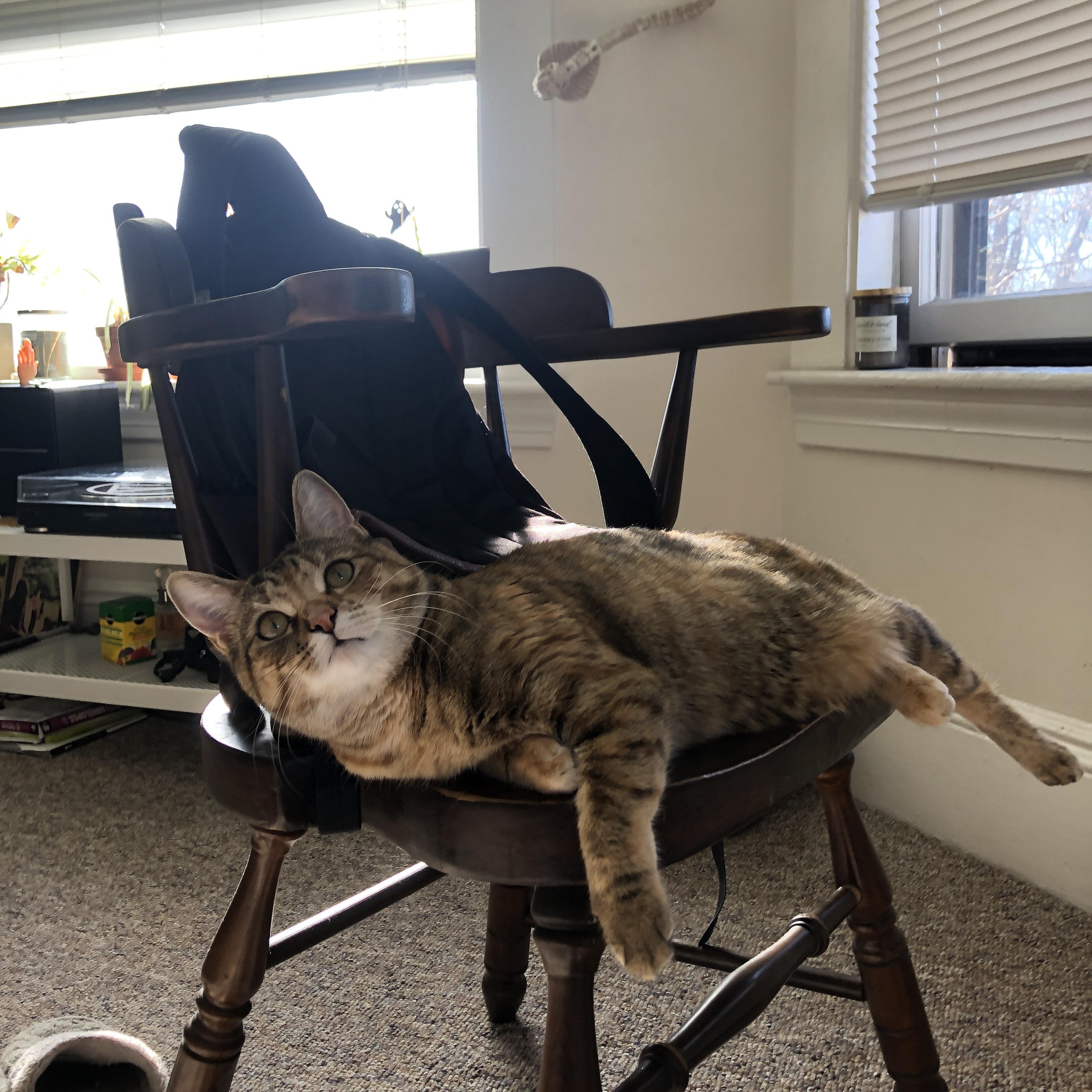 他让热火的叹息之墙化为齑粉，班凯罗摧毁式进攻引发战术革命