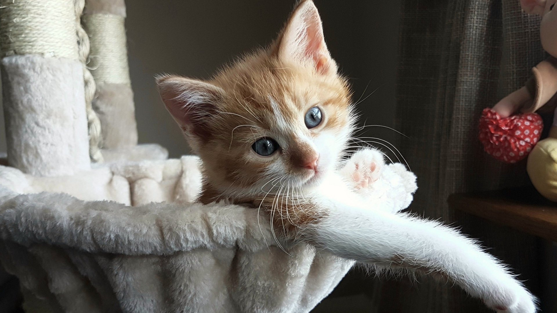 小国巨人，冰岛如何用最古老的足球智慧，掀翻了多特蒙德这座工业秩序堡垒