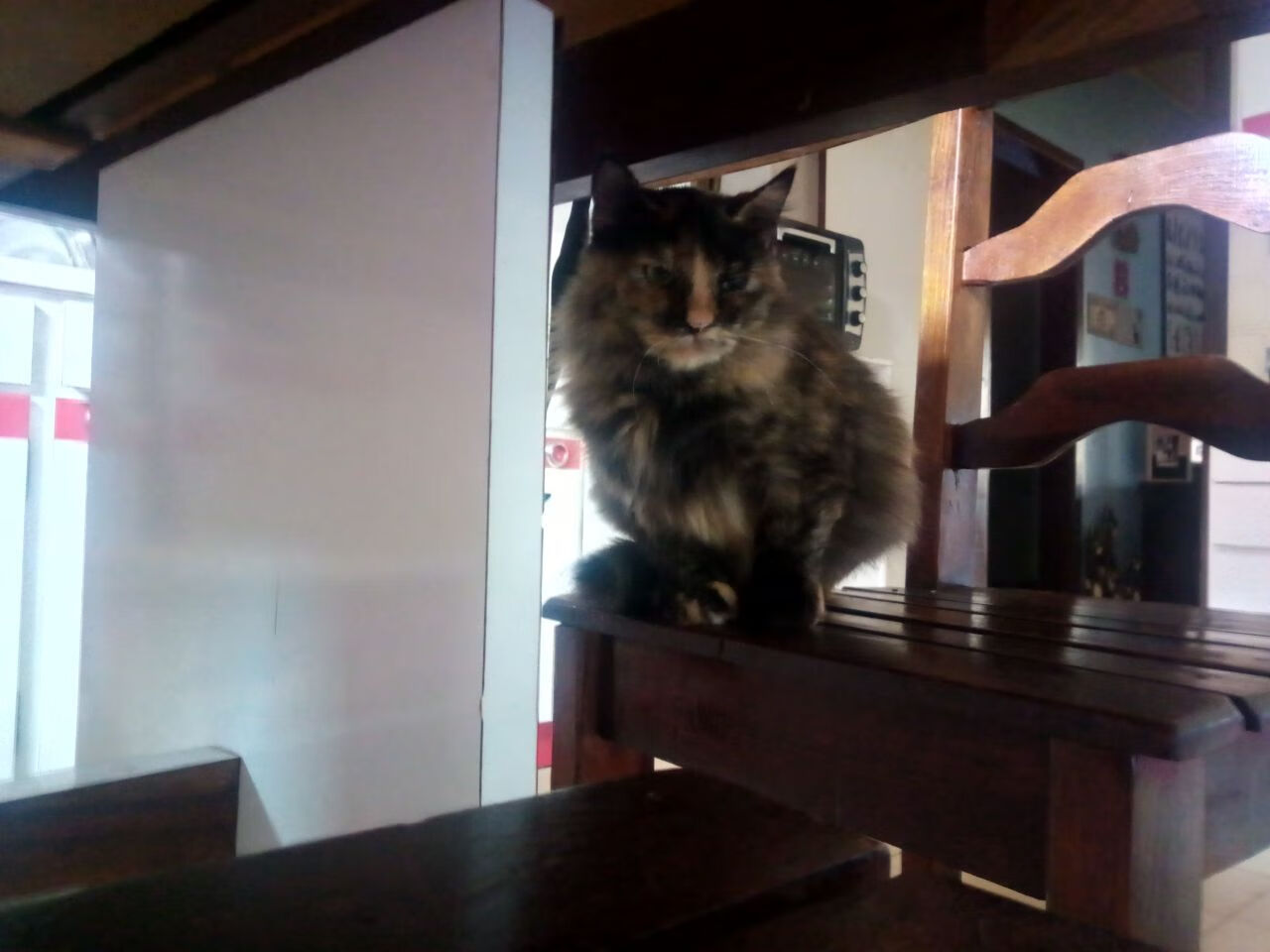 冰与火之歌，德甲争冠战中的芬兰收割牙买加瞬间