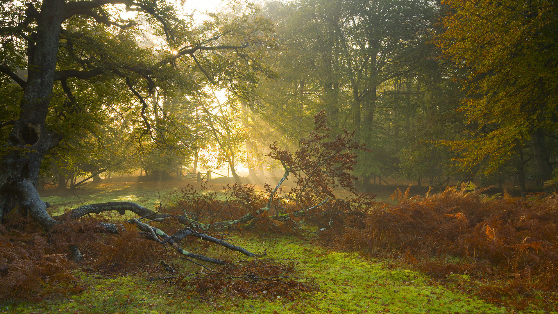 西甲国家德比焦点战的启示，深圳队如何以稳字诀拿下魔术般的挑战