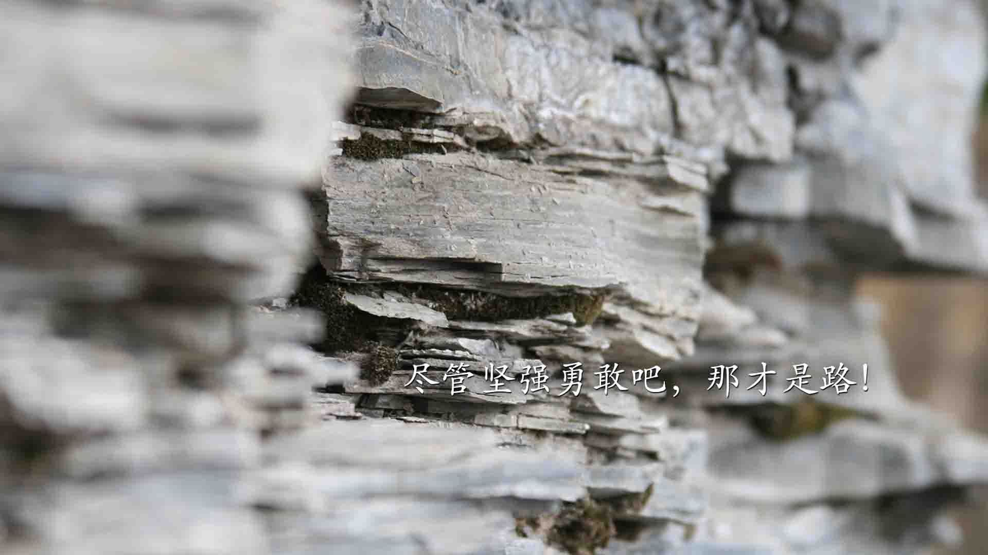 绝对焦点！保罗神射如雨率步行者逐退鹈鹕