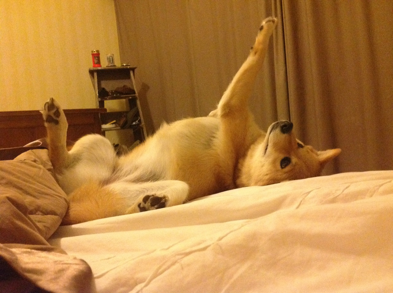 数字世界里的绿茵刀光，一场英超争冠焦点战与浙江队压哨击败骑士的平行共鸣