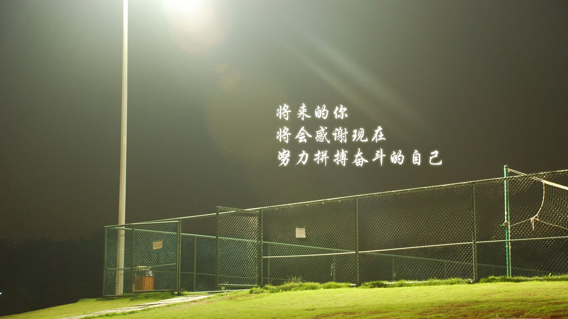 独一份的颠覆，2026世界杯B组，阿联酋的沙漠奇谋与坎塞洛的右路王国