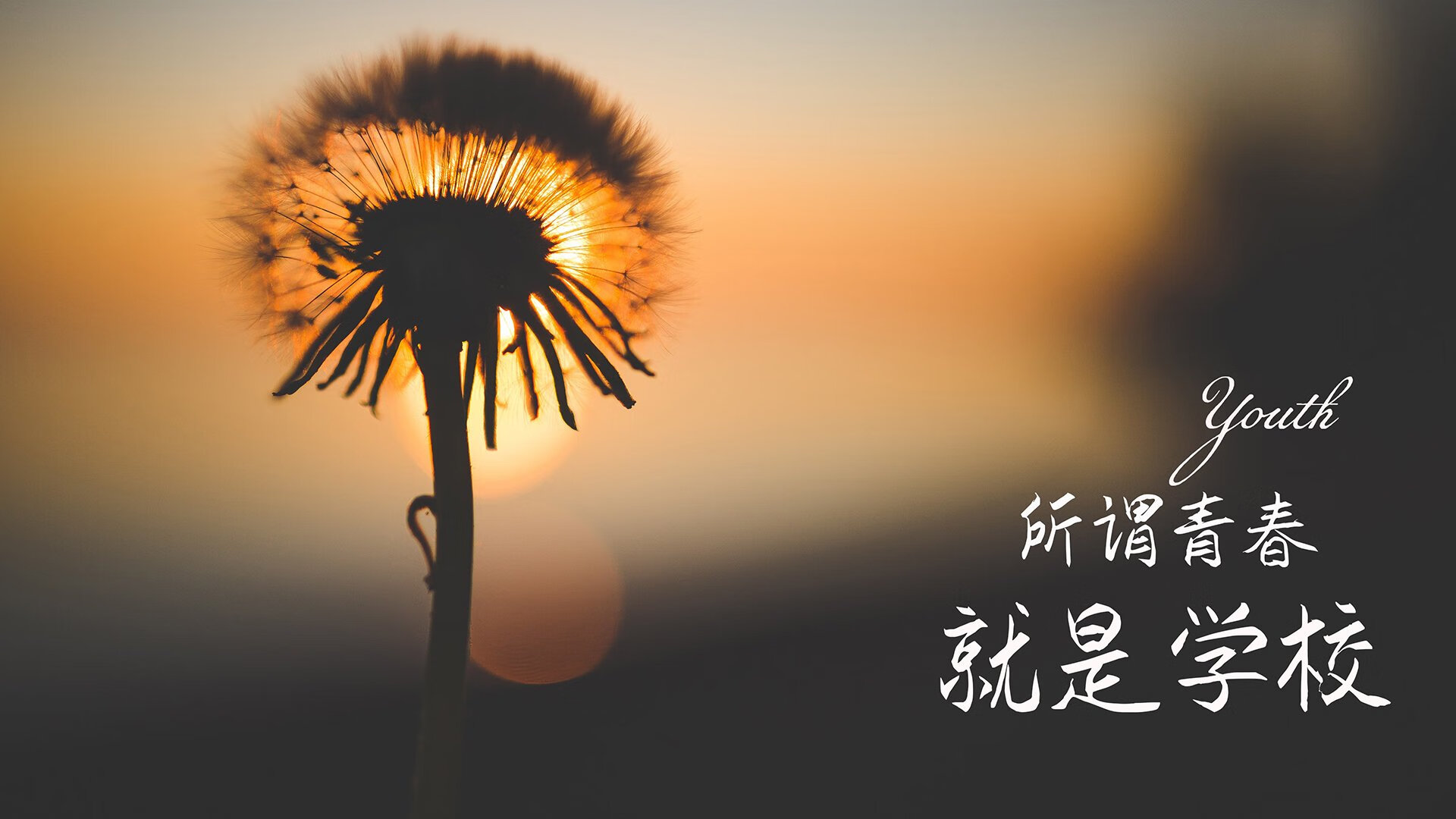 绿茵场上的最后倔强,墨西哥压制日本,苏亚雷斯的致命一击让2026世界杯H组震颤