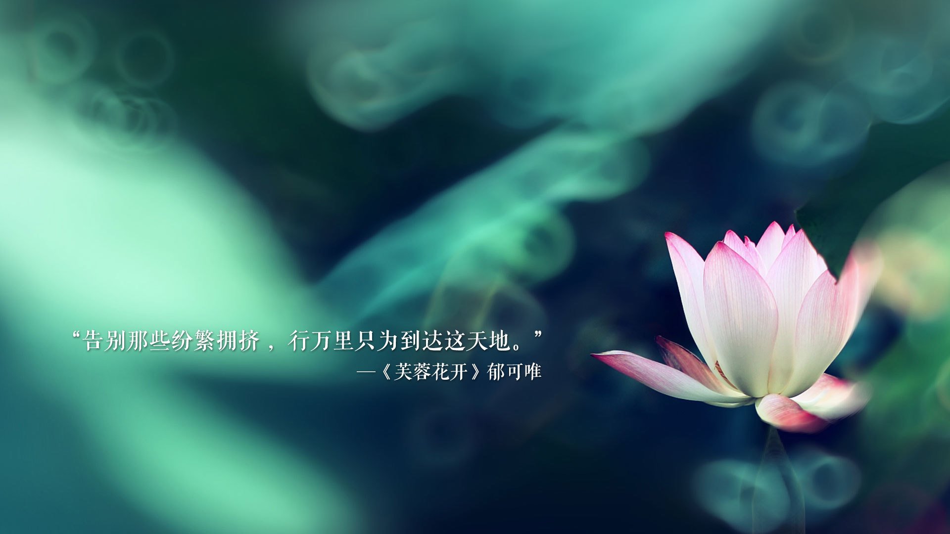 沙漠玫瑰的末日狂花，当莱万身披红衫完成绝命一击，2026的A组上演了世界杯史上最诡异的冷门