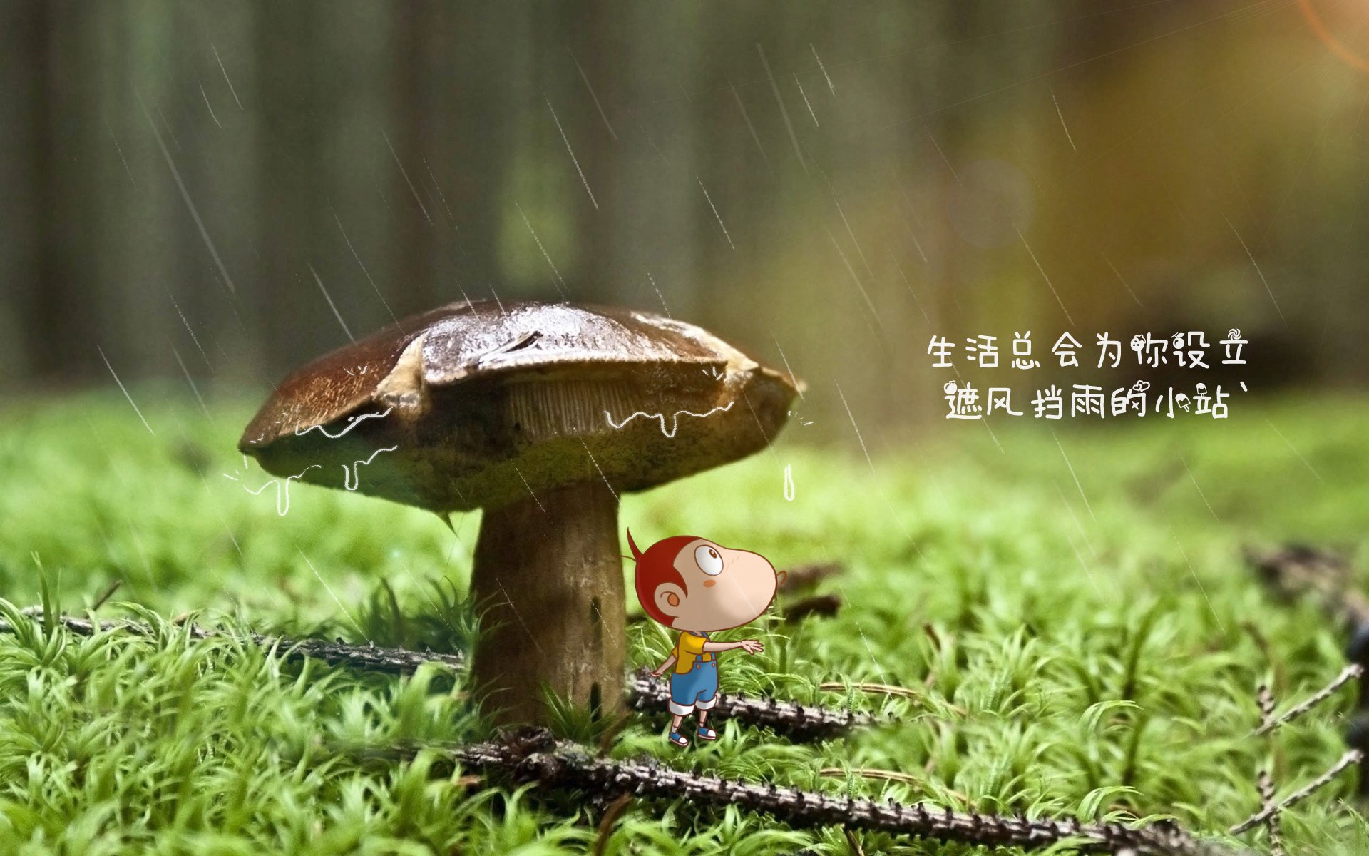 这会是一场注定被铭刻在世界杯史册上的、身份错位与终极救赎的戏剧