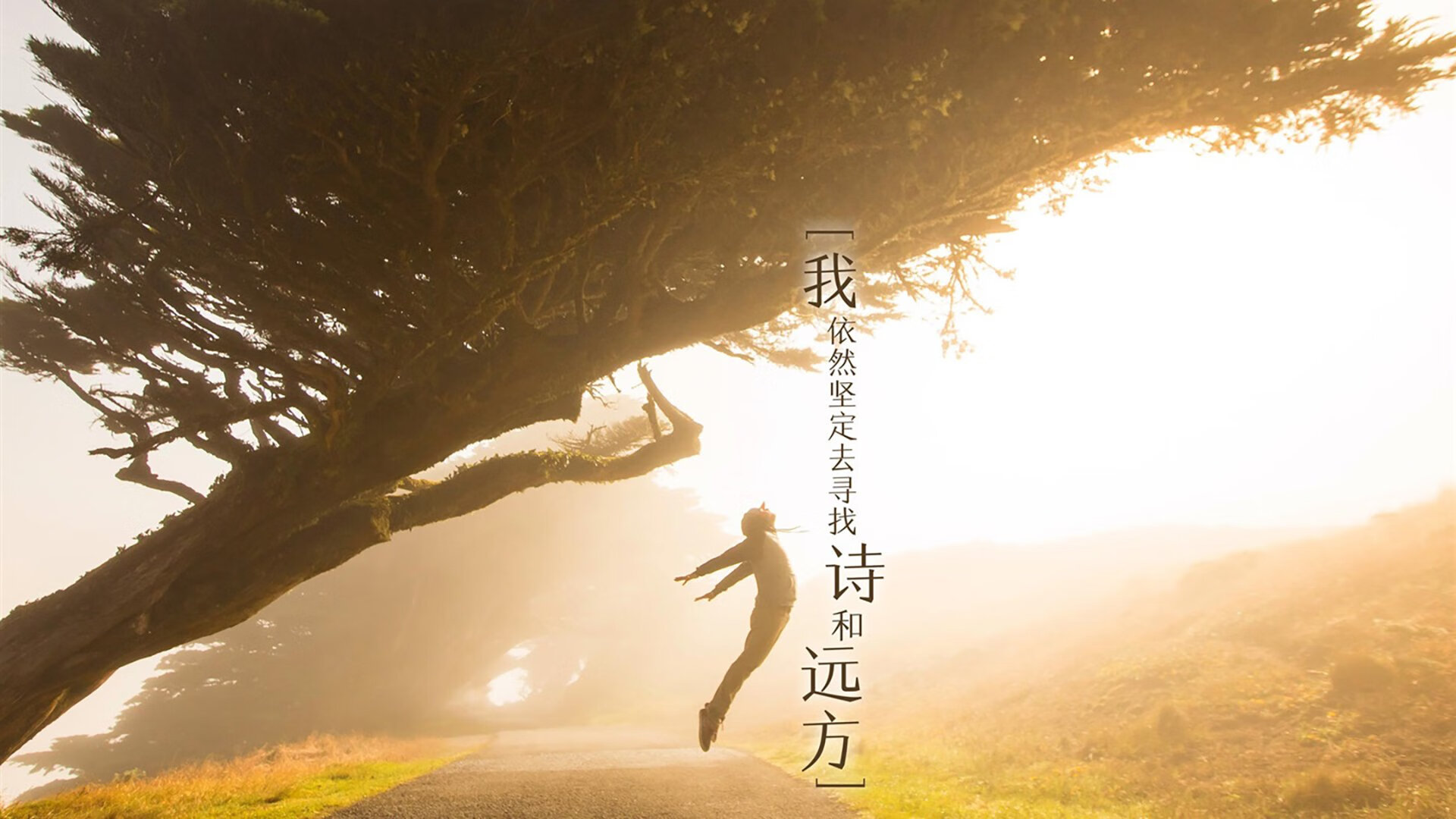 2026世界杯奇观，历史重演意大利碾压伊朗，德布劳内上演先知表现