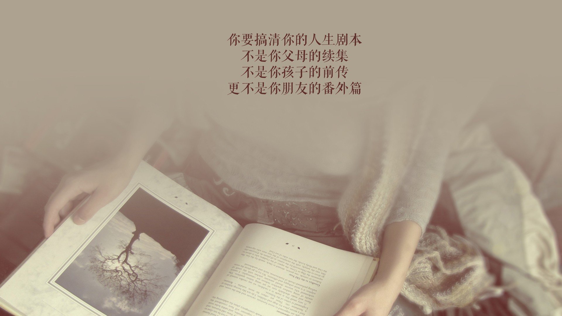 逆戟鲸的最后一跃，当C罗的渴望撕裂高卢铁幕，一个替补奇兵如何颠覆2026的浩劫